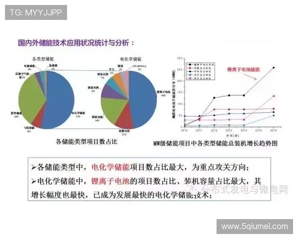 成都篮球队运营模式分析与发展前景探讨